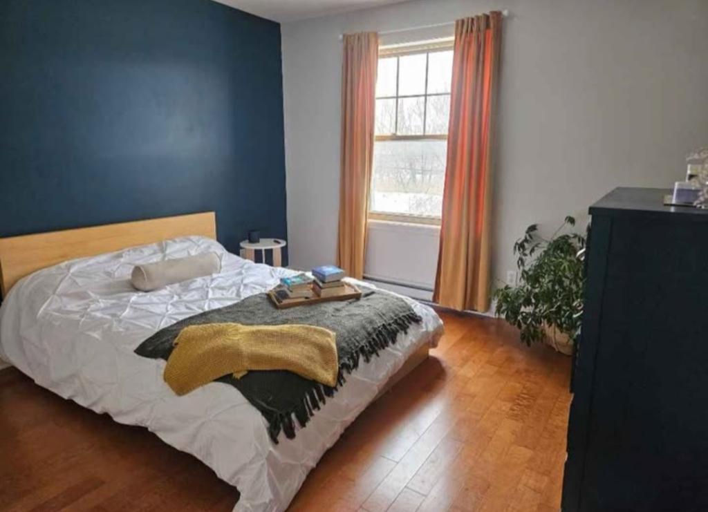 Condo 4 et demi 1er juin discutable | 3282676