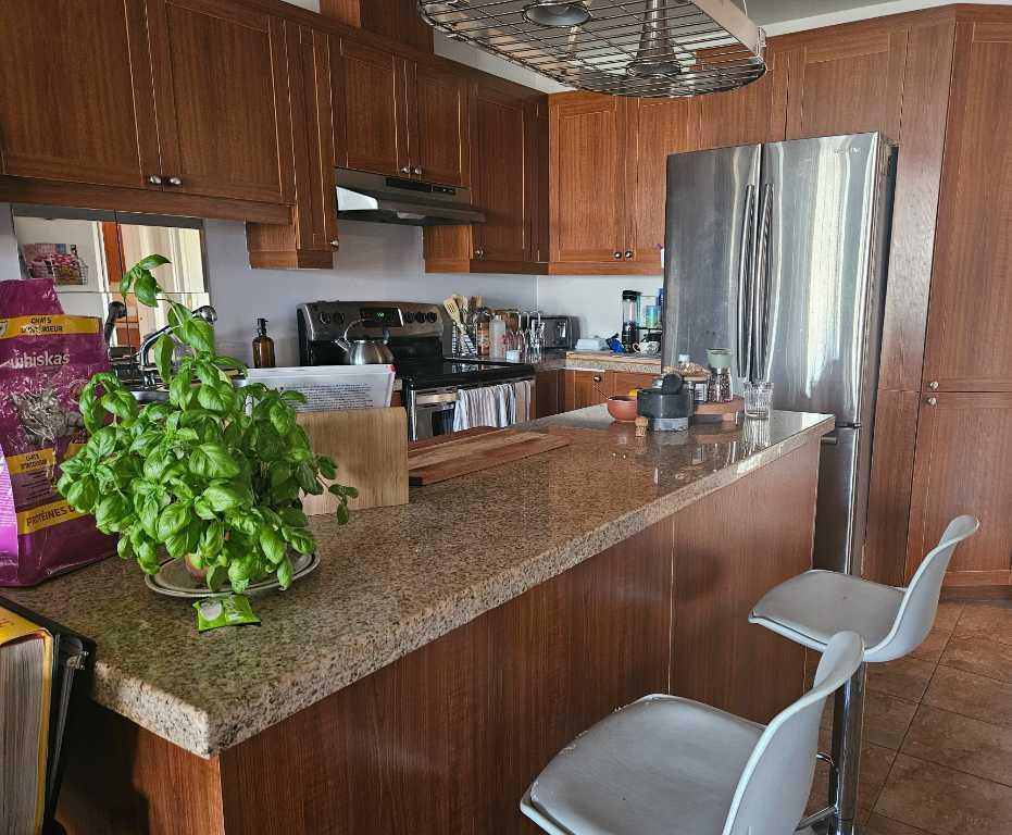 Condo 4 et demi 1er juin discutable | 3282676