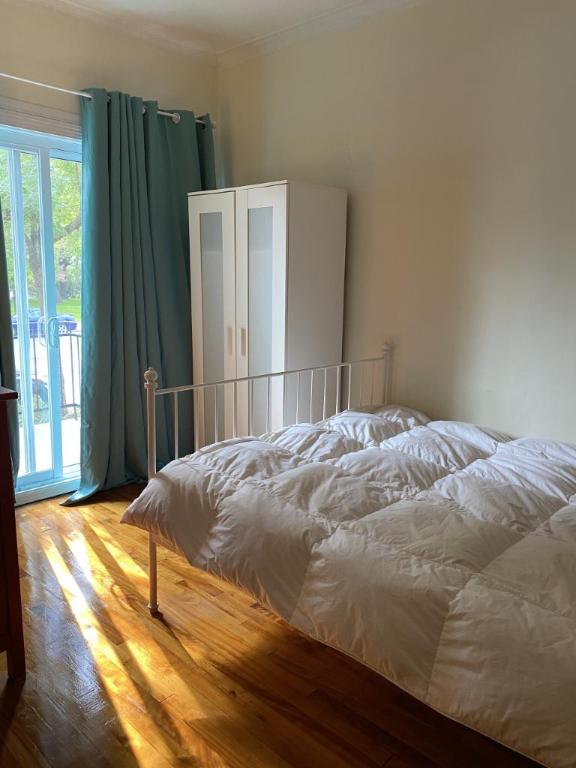 6 1/2 - Montréal (Hochelaga / Maisonneuve) - 1 900 $/mois | 3281002