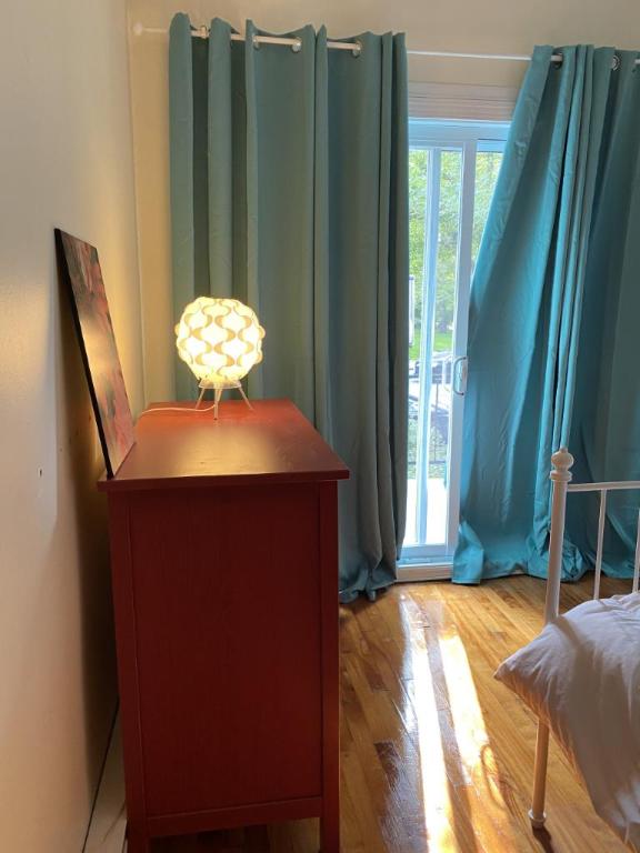 6 1/2 - Montréal (Hochelaga / Maisonneuve) - 1 900 $/mois | 3281002