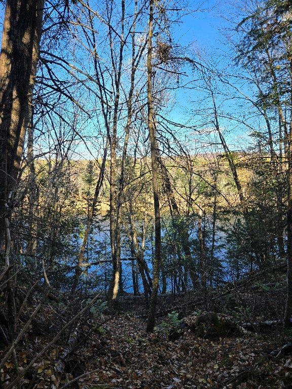 magnifique terrain bord de la rivière et vue sur le Mont Mégantic | 3281360