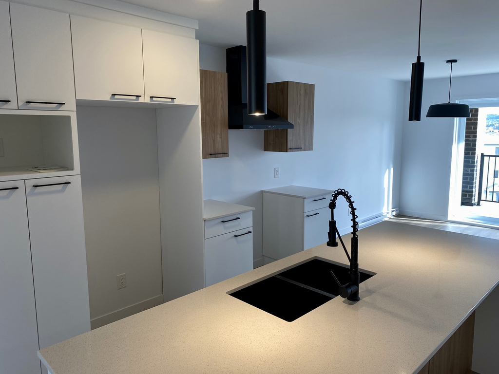 BEAU 4 ½ | CONSTRUCTION RÉCENTE|INTERNET | 3282578