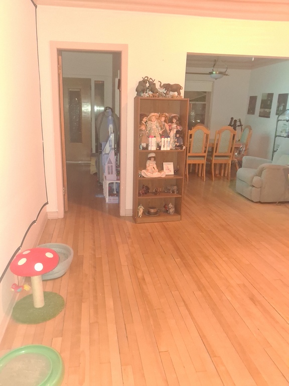 Grand Appartement Tranquille | 3283007