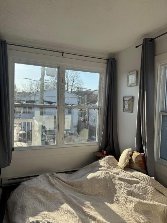 Studio - Granby - $845 /mo | 3281813