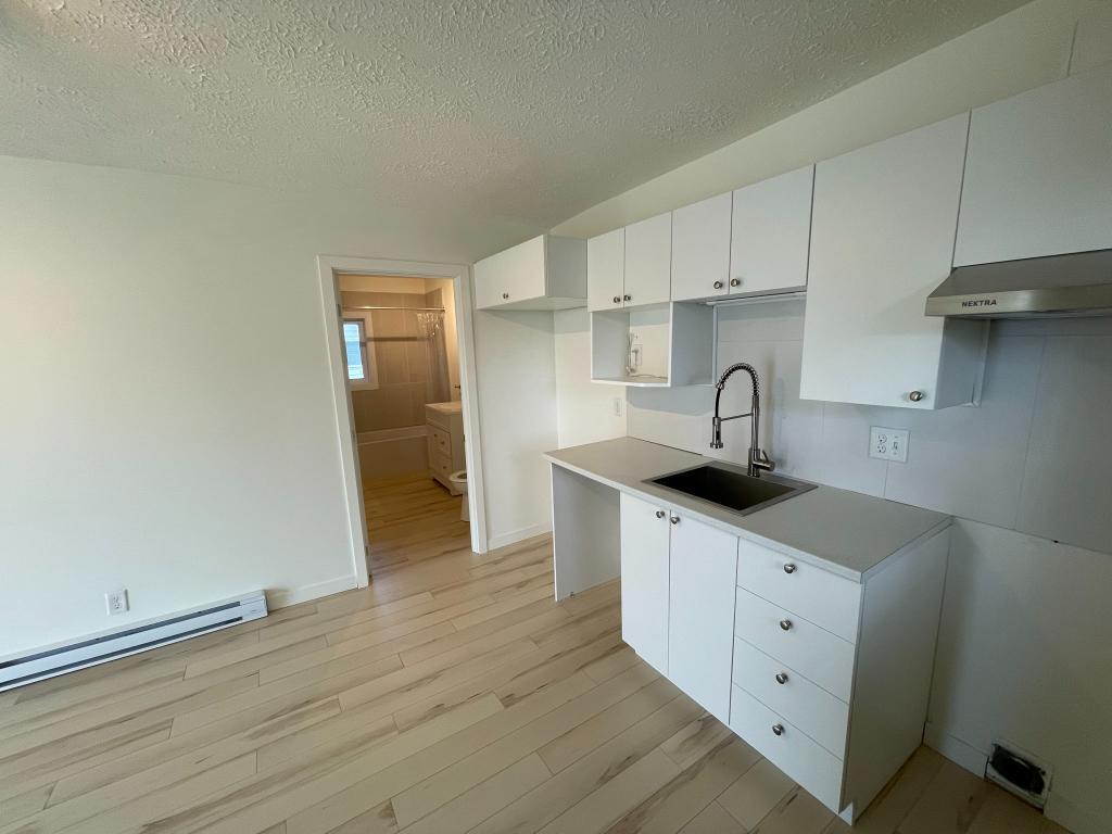 3 1/2 à louer Thetford Mines (Black Lake) | 3281814
