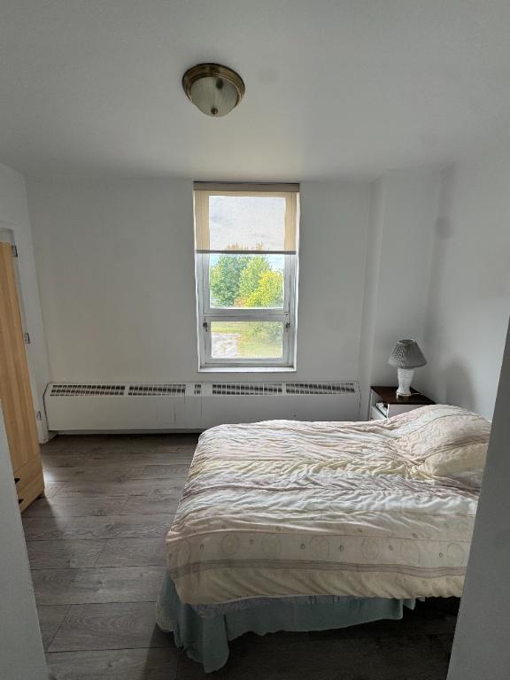 Appartement 1 chambre à louer Black Lake | 3281815