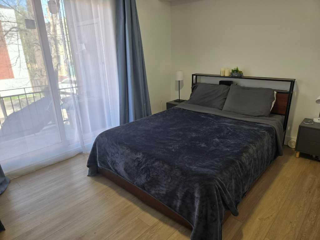 Cession de bail – 3 ½ rénové à Hochelaga – Disponible maintenant | 3281835