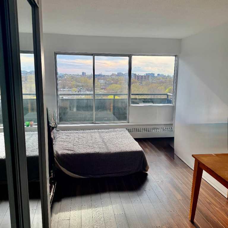 Studio à louer – unique vue sur le parc Lafontaine et Mont-Royal | rue Sherbrooke Est, 12e étage | 3283135
