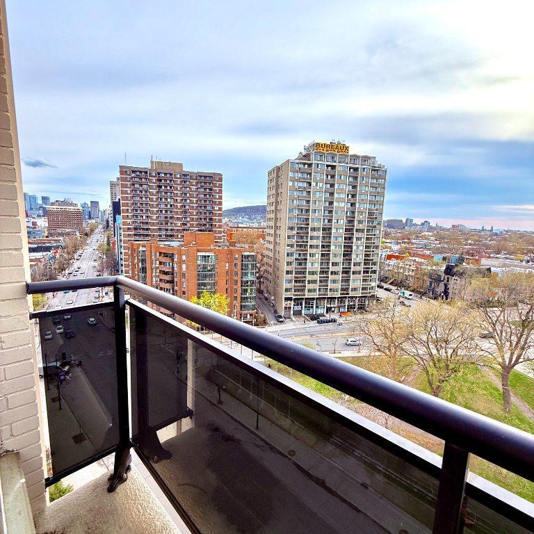 Studio à louer – unique vue sur le parc Lafontaine et Mont-Royal | rue Sherbrooke Est, 12e étage | 3283135