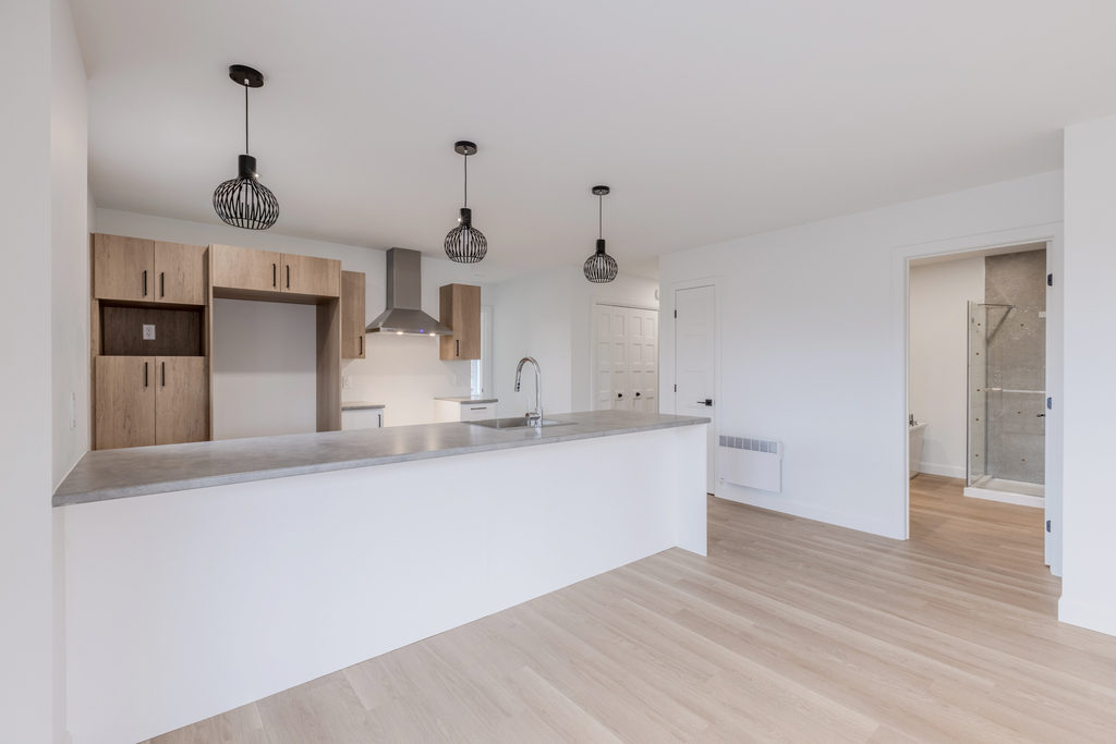 Magnifiques 5 1/2 à St-Gilles! | 3282277