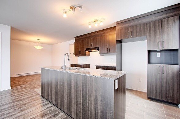 190 Rue Henri-Matisse (Gatineau) Super Appartement 4 1/2 | 3267230