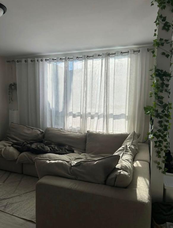 3 1/2+bureau Lévis 🐶chien accepté🐶 | 3283500