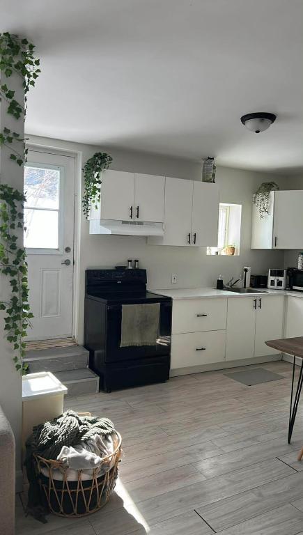 3 1/2+bureau Lévis 🐶chien accepté🐶 | 3283500