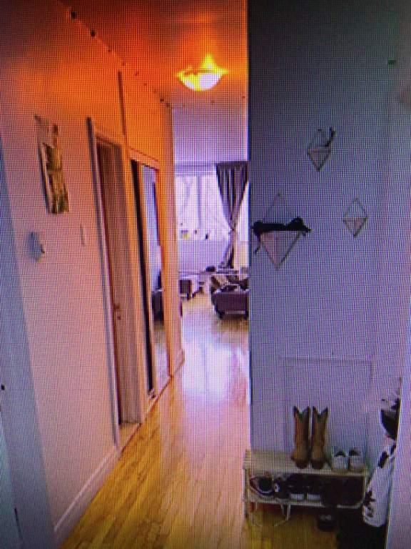 NDG 1 Bedroom Apt on Sherbrooke West | 3283502