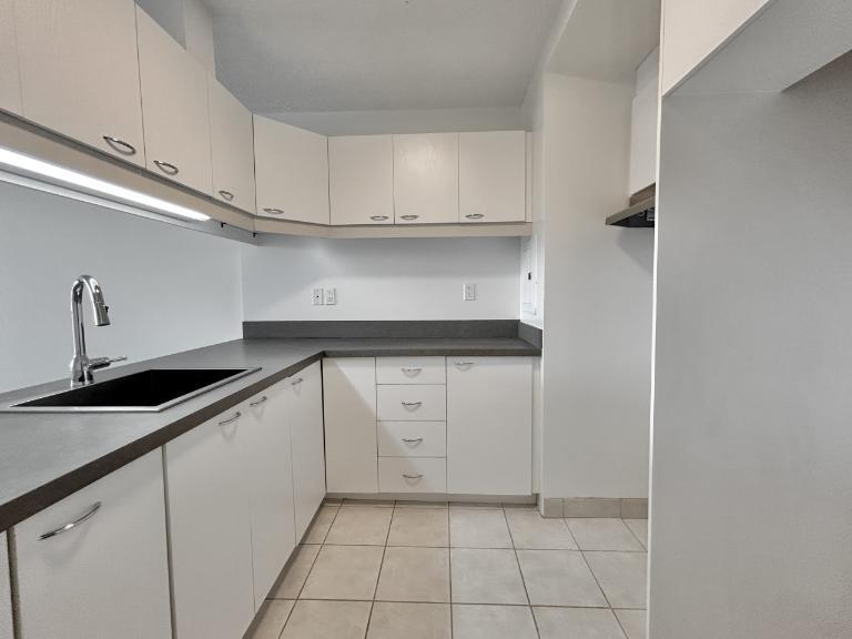 Appartement 3 ½ à louer Montcalm / Saint-Sacrement juillet 2026 | 3288400