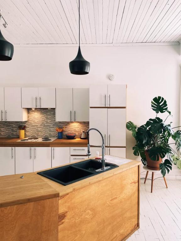 Magnifique Condo Style Loft Unique A louer Ville-Marie Montreal | 3283632
