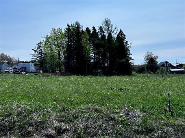 Terrain | 3283684