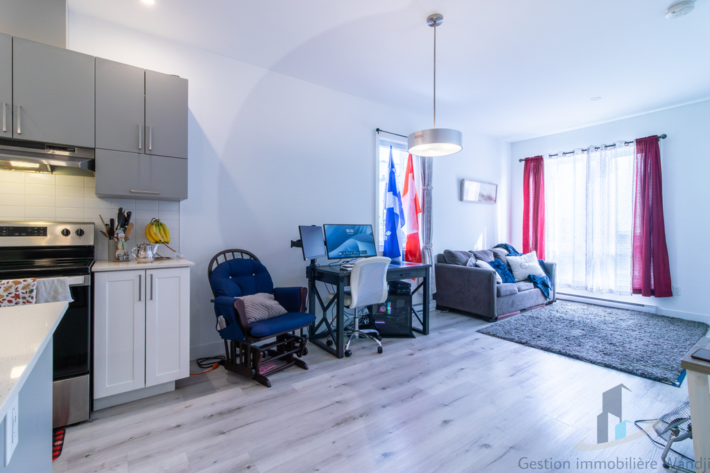 105 Rue Marguerite Maillé #201 | 3269710