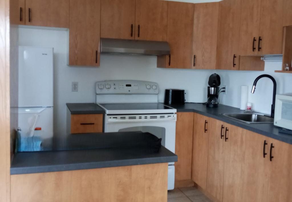Logement 3.5 à louer | 3276598