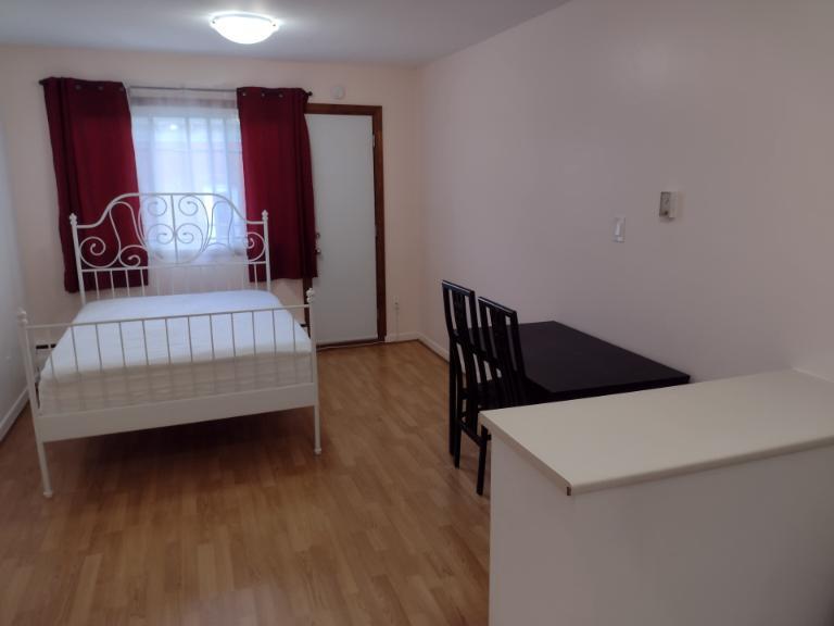 1 1/2 - Montréal (Le Plateau Mont-Royal) - 1 250 $/mois | 3276607