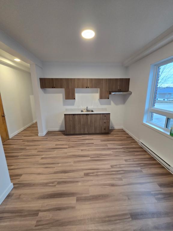 4 1/2 à louer — Louiseville — 1 225 $ / mois — disponible 1er juillet 2026 | 3276611