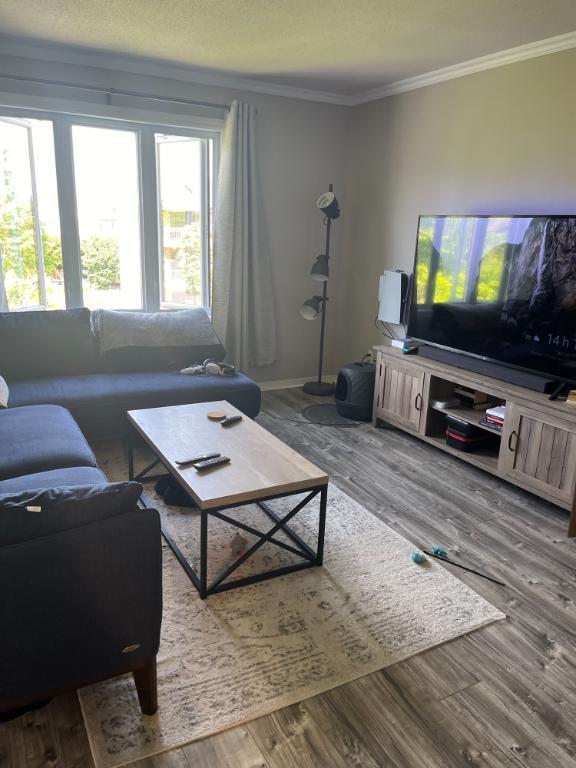 Grand 4 ½ rénové à louer – 2 chambres – Saint-Jean-sur-Richelieu – Disponible juillet 2026 | 3284339