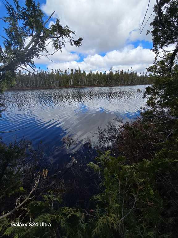 Magnifique terre a bois, bornant un lac | 3276722