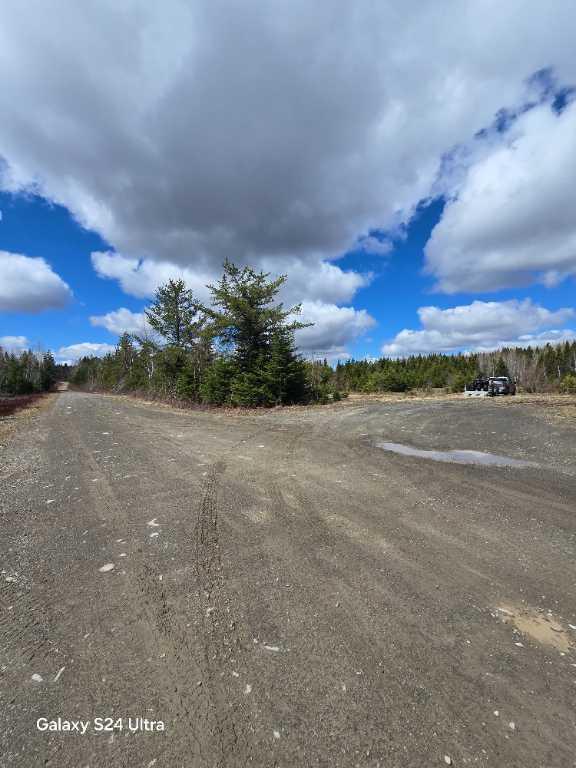 Magnifique terre a bois, bornant un lac | 3276722