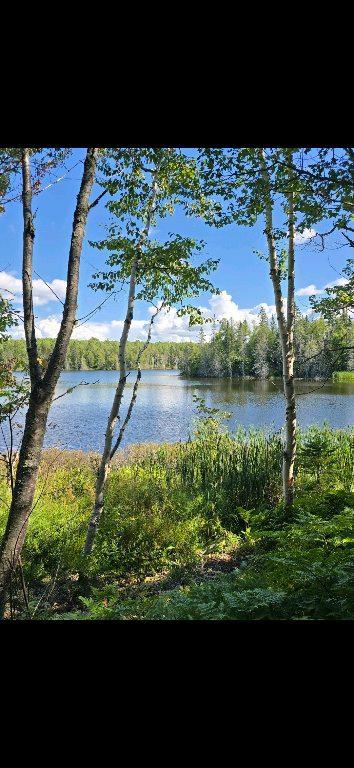 Terrain bord de l'eau, lac, droit de construction | 3276723