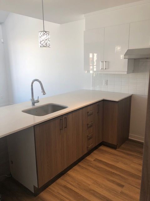 *Lumineux 4,5 Ste-Rose/Champfleury* | 3270471