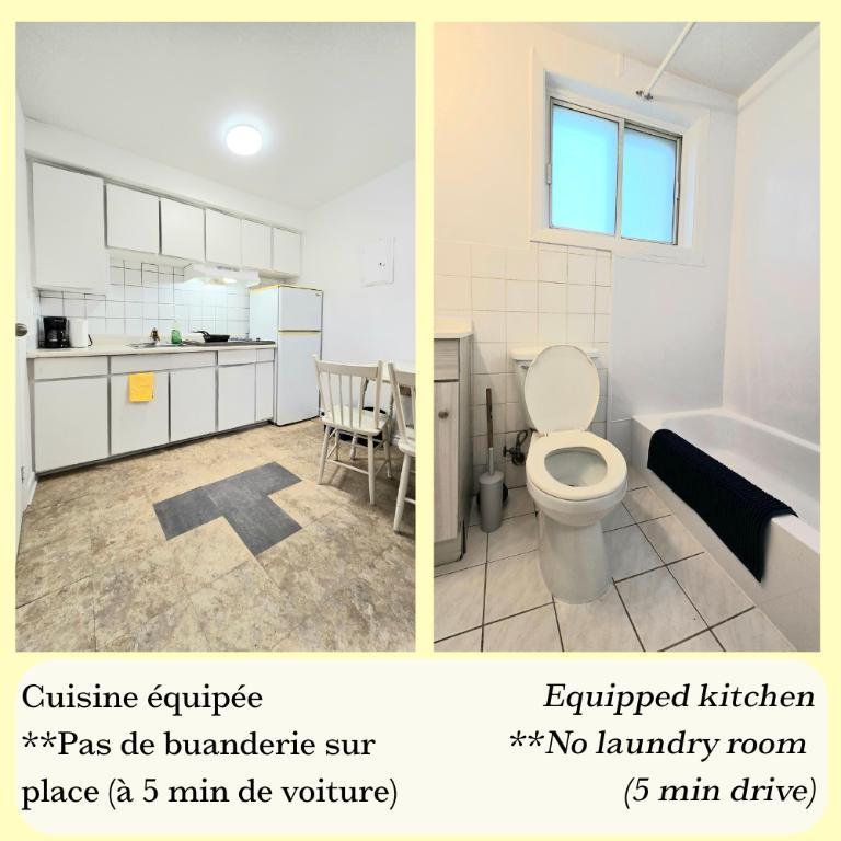 Studio tout inclus 1 1/2 - 10 min du terminus Longueuil - disponible 1er juillet 2026 | 3277468