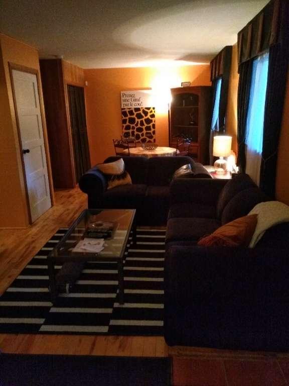 3 1/2,completement meubler,chien accepter,tout comprit,a louer Ste adele | 3278007