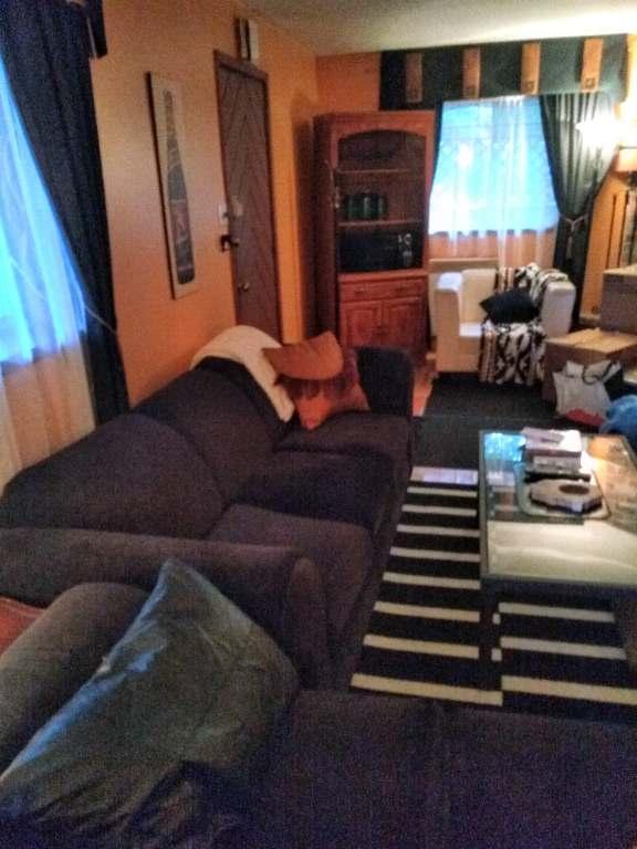 3 1/2,completement meubler,chien accepter,tout comprit,a louer Ste adele | 3278007