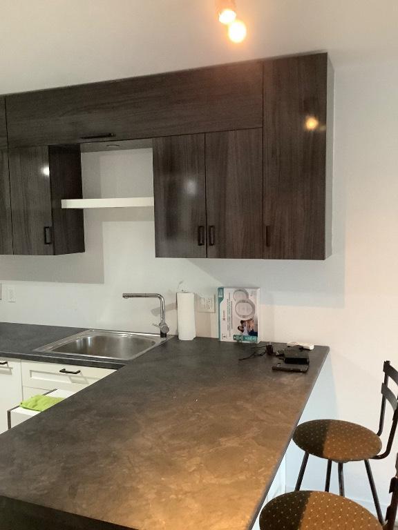 Location 2 condos a trois-rivieres, bord du fleuve. Pres sanctuaire du cap | 3277531