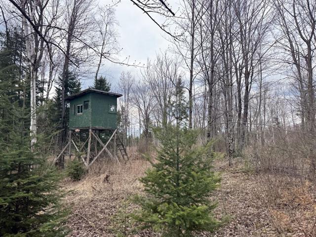 St-Sébastien, Estrie. Belle terre à bois de 134 acres avec chemin forestier, boisé mixte et ruisseau. Accessible l’hiver, Hydro et excellent secteur d | 3279193