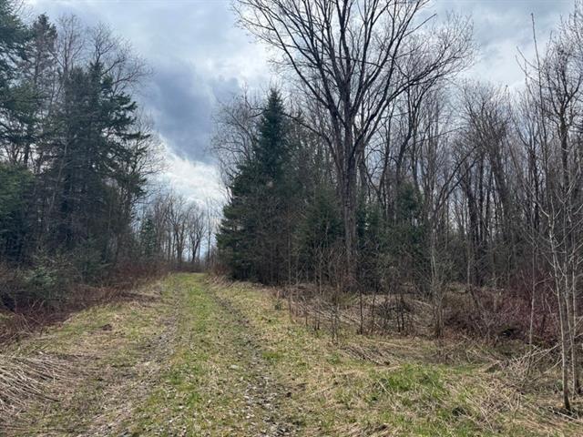 St-Sébastien, Estrie. Belle terre à bois de 134 acres avec chemin forestier, boisé mixte et ruisseau. Accessible l’hiver, Hydro et excellent secteur d | 3279193