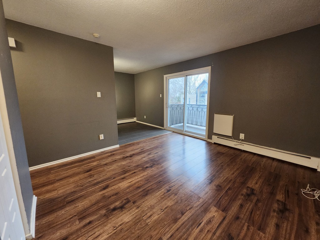 Appartement 1 Chambre à Louer | 3271061
