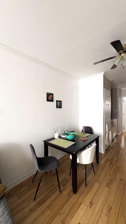 Appartement 3 1/2, Vieux-Rosemont | 3278081