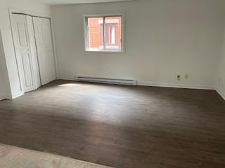 Beau 6 1/2 | 3279351