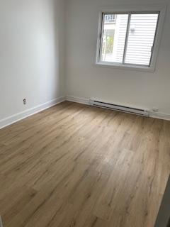 Beau 6 1/2 | 3279351