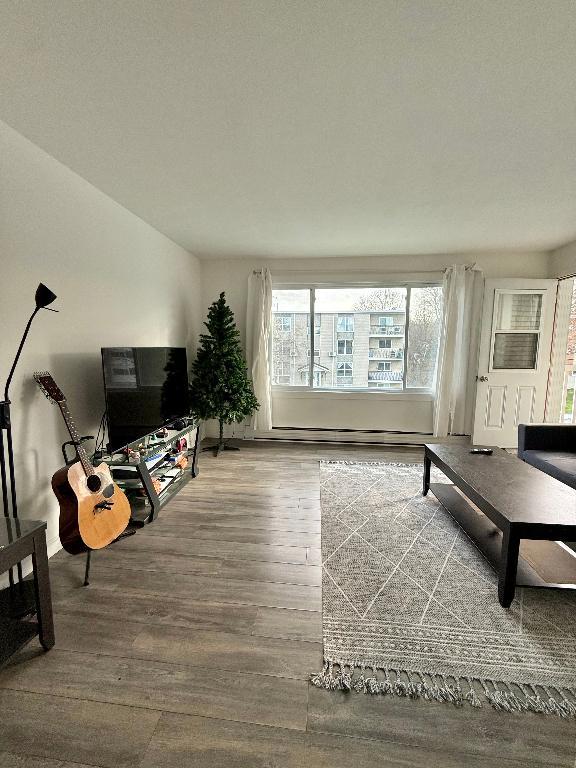 Grand 4 1/2 lumineux secteur Mont-Bellevue | 3279967