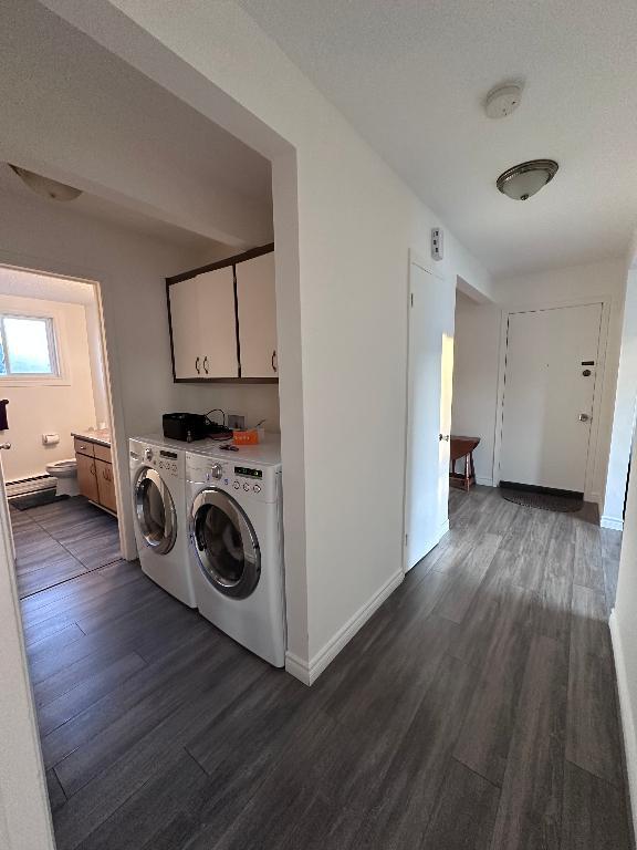 Grand 4 1/2 lumineux secteur Mont-Bellevue | 3279967