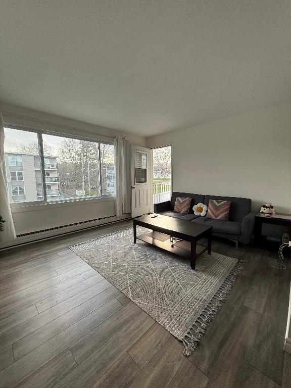 Grand 4 1/2 lumineux secteur Mont-Bellevue | 3279967