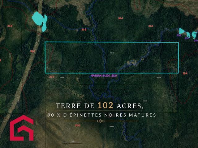 Terrain | 3280052