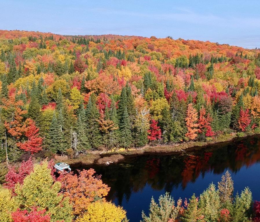 Terrain 300 pieds de frontage, lac paisible, Lac aux Sables, 1hr15 de Quebec et Trois Rivières | 3282908