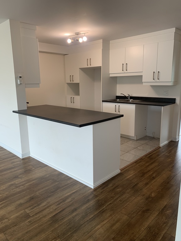 Superbe Appartement 4 1/2 Au Plateau! | 3269000