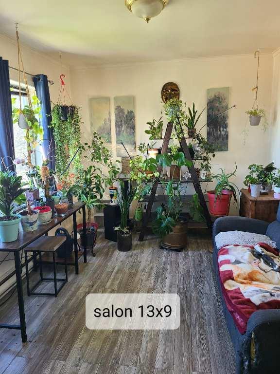 riviere rouge sous sol 4 1/2 secteur l'annonciation | 3280919