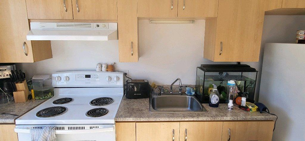3 1/2 lumineux en centre ville | 3280920