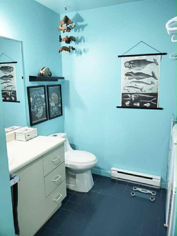 4 1/2 juillet Cowansville | 3280923