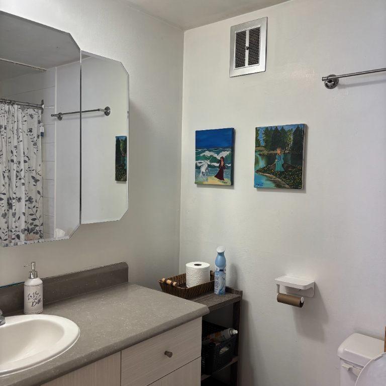 4 1/2 Lévis centre-ville près CFP Lévis et UQAR | 3280929